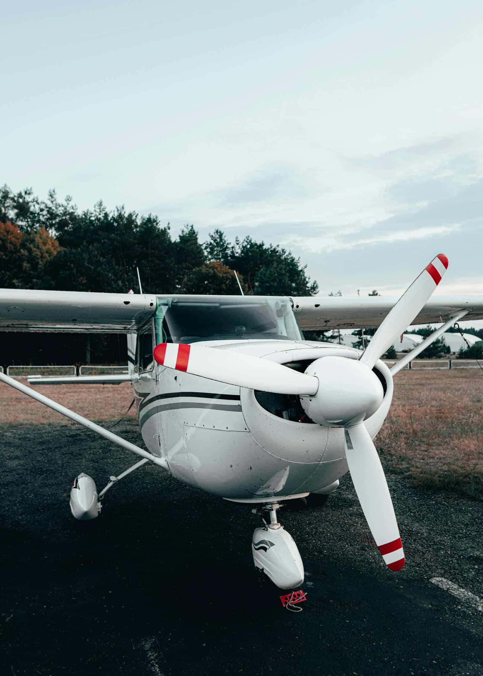 Single-engine Cessna on a grassy airfield