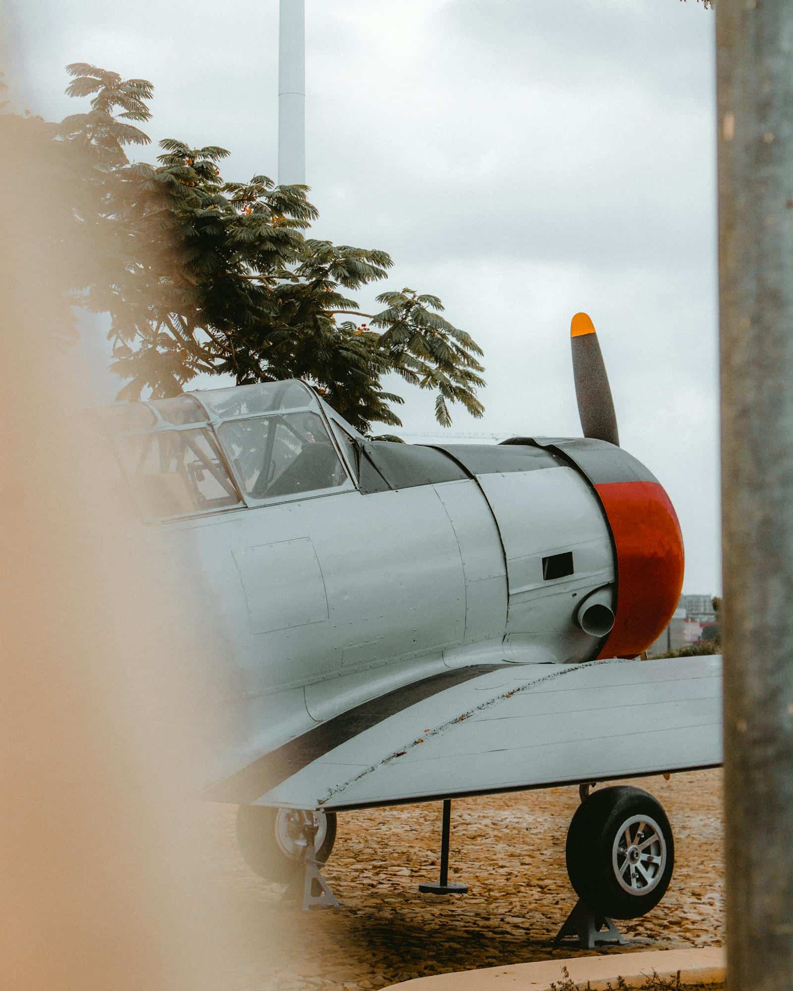 Vintage propeller aircraft in detailed inspection