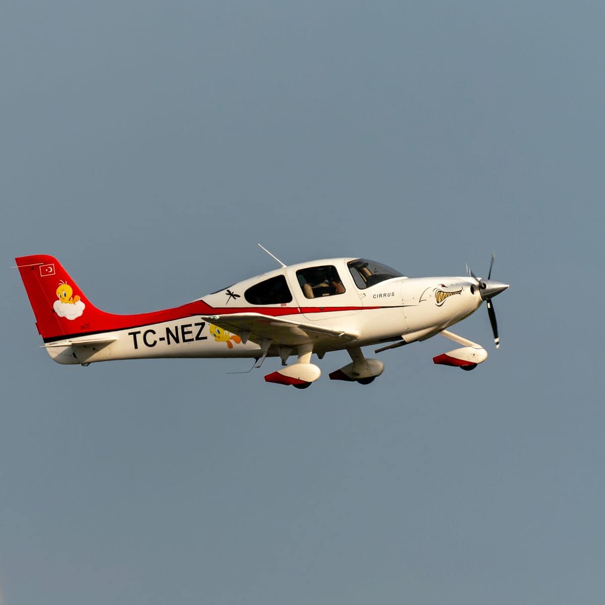 Cirrus SR20 sister aircraft to the SR22 parachute system debate model