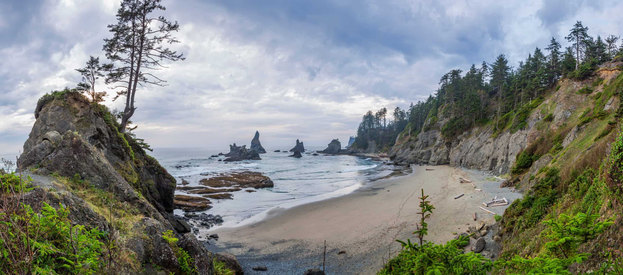Coastal advection fog formation over the Pacific Northwest shoreline