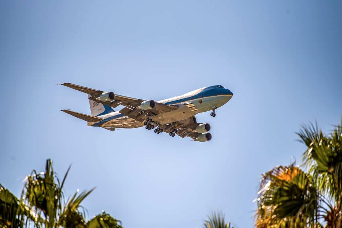 Large commercial airplane in flight above palm trees against clear blue sky.