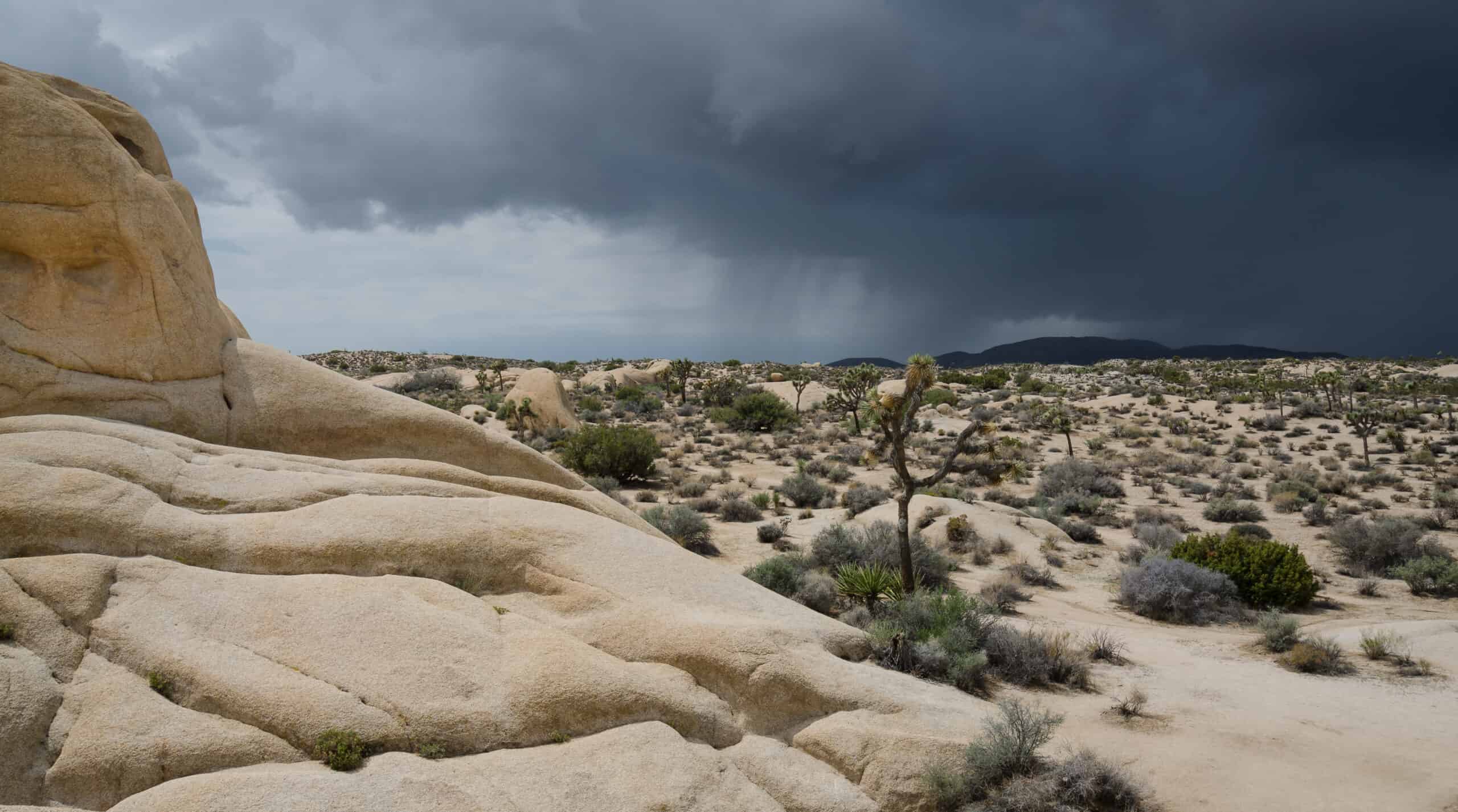 Approaching thunderstorm at low altitude — the wind shear recognition scenario every GA pilot should train for.