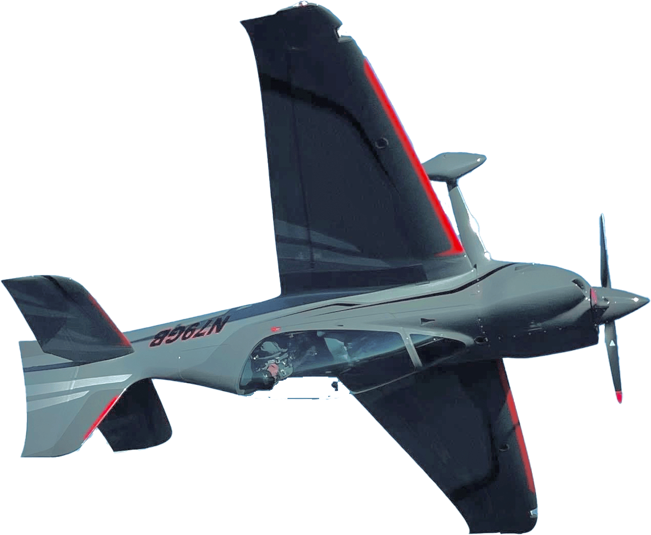 Gamebird flying upside down
